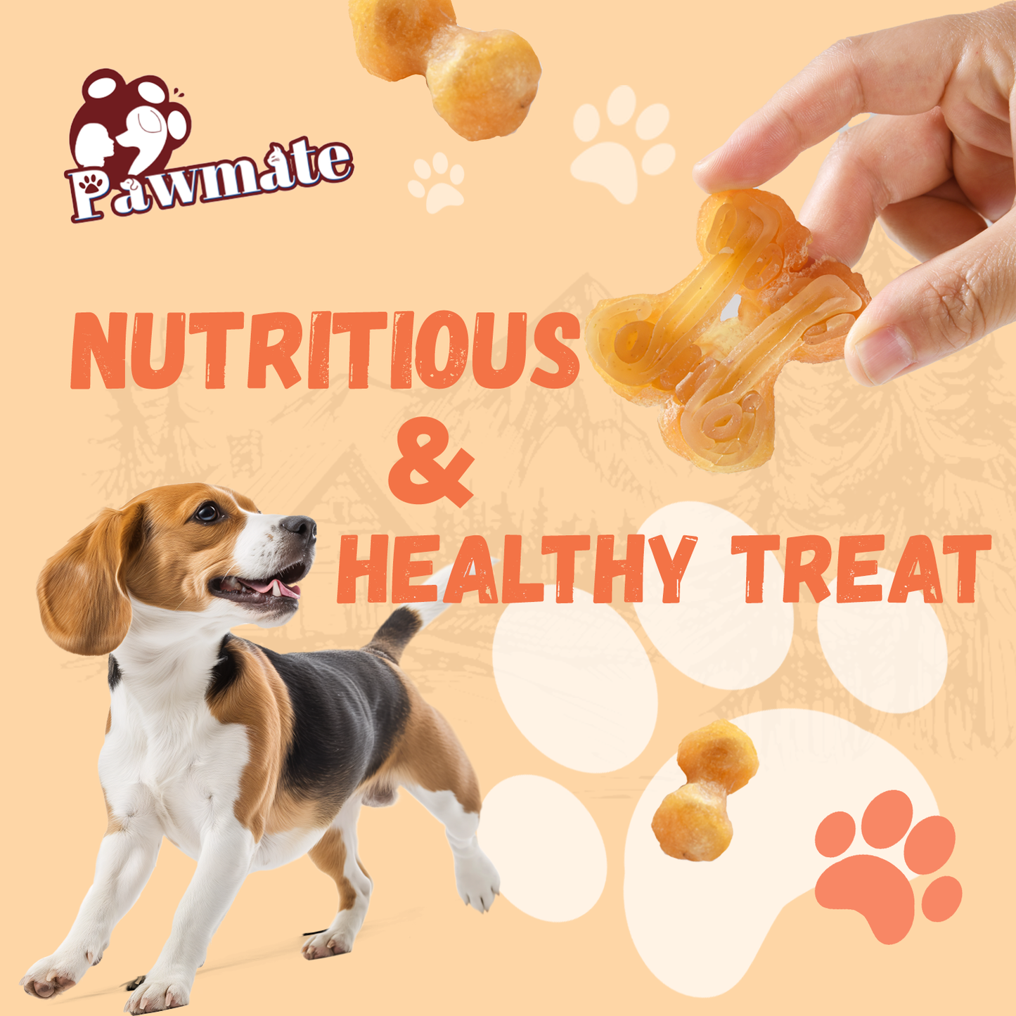 dog treat