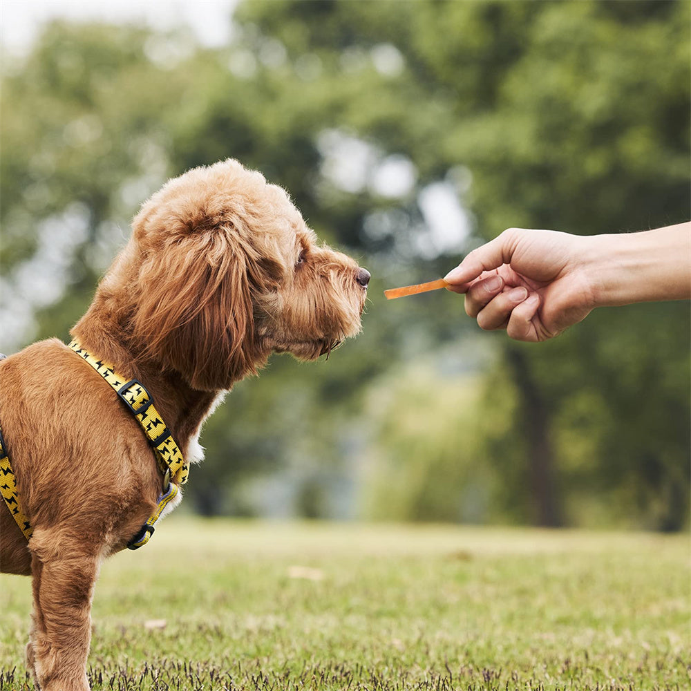 ASMPET Chicken Jerky Dog Treats, Mini Chicken Strips, Rawhide Free Training Treats for Cats and Small Dogs,11oz