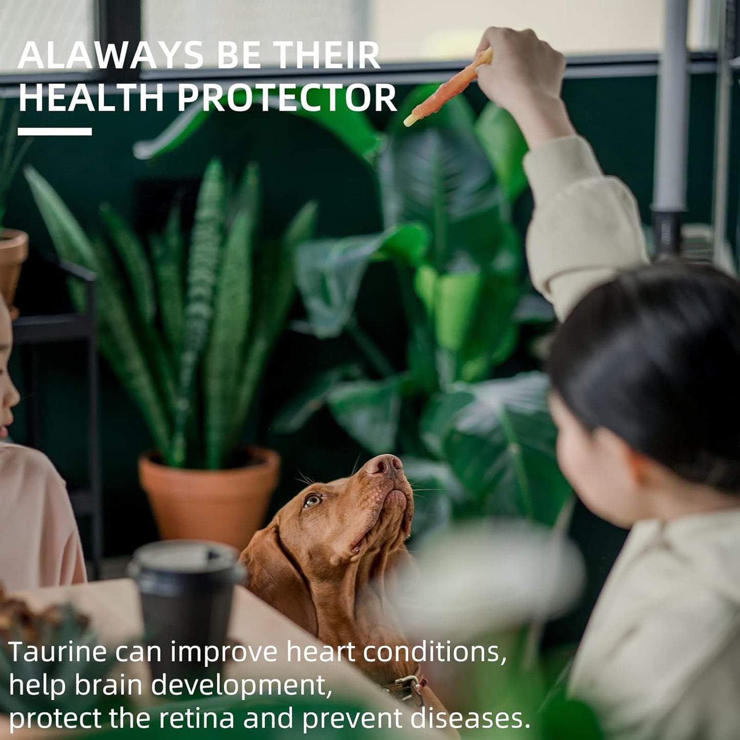 ASMPET Dog Treats - Chicken Wrapped Cod Fish, Omega-3, Grain-Free, Rawhide-Free, for Small & Medium Dogs