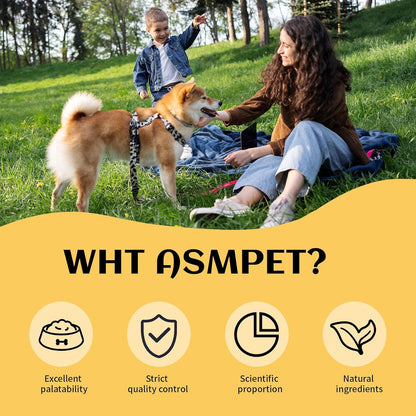 ASMPET Chicken Chips - Chicken Jerky Chews, Protein-Rich, Grain-Free, for Large & Medium Dogs