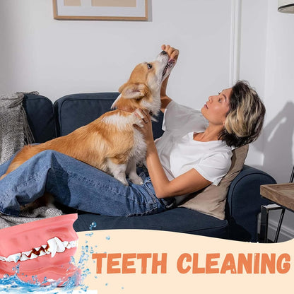 Pawmate Dog Treats, Chicken Strips for Dogs, Natural Healthy Jerky Dog Treats for Small Medium Large Dogs with Taurine 10.58oz