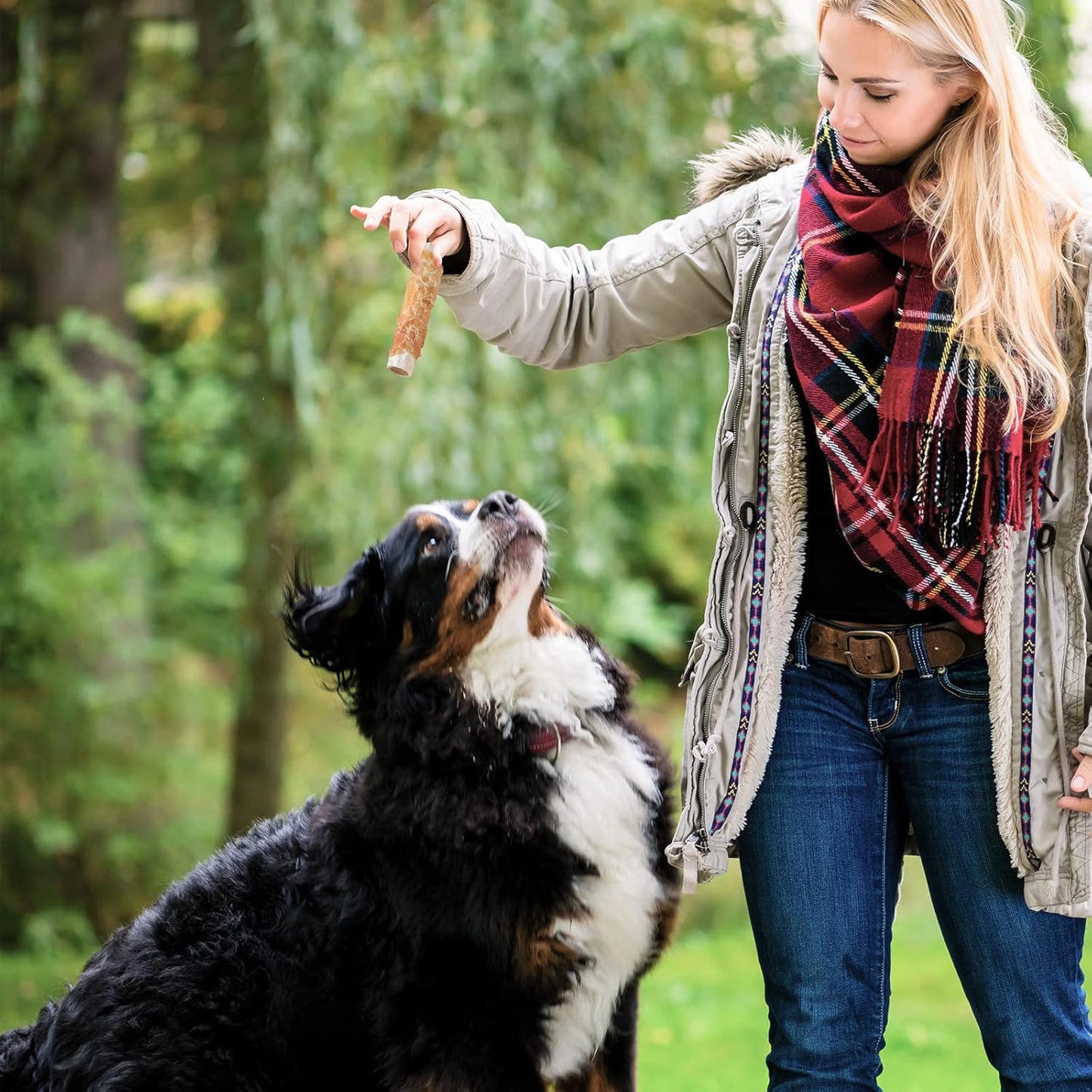 ASMPET Dog Treats - Chicken Wrapped Sweet Potato Sticks, Long Lasting, Rawhide-Free for Medium & Large Dogs