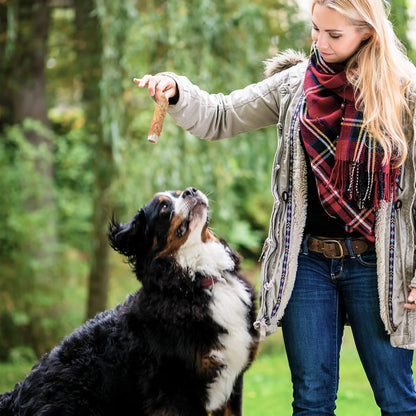 ASMPET Dog Treats - Chicken Wrapped Sweet Potato Sticks, Long Lasting, Rawhide-Free for Medium & Large Dogs