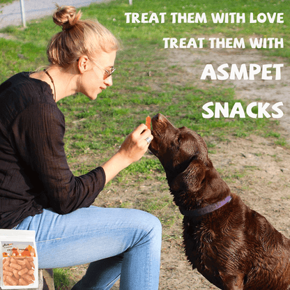 ASMPET Chicken Sausage Dog Treats, Natural Chicken Jerky Training Treats for Dogs with Taurine, Low Fat Soft Chewy Snacks, 11oz