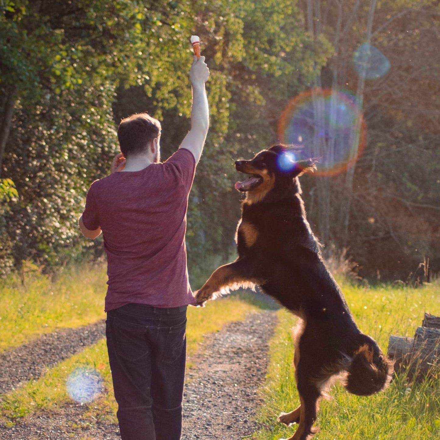 Pawmate Large Chicken Wrapped Rawhide Bones - Long-Lasting Chews (5 Count)