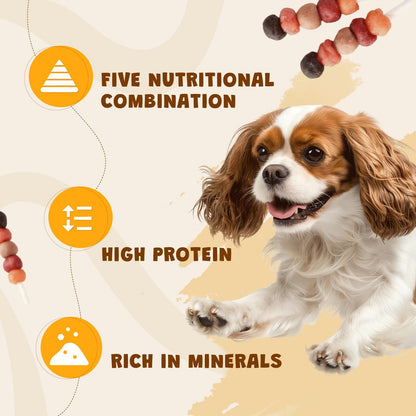 ASMPET Multi-Flavor Dog Treats, Made with Chicken Duck Salmon Rabbit and Beef Healthy Snacks for Small Medium Large Dogs, 10.6oz