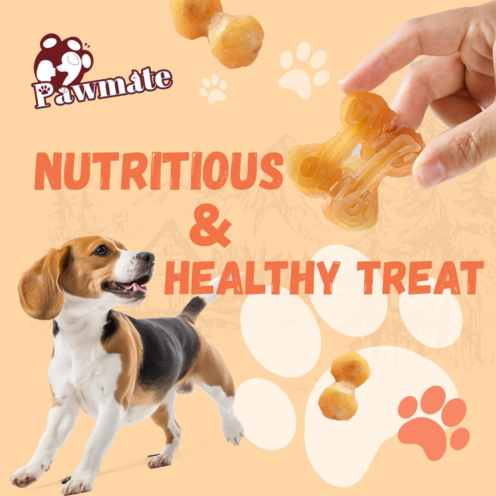 dog treat