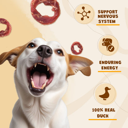 ASMPET Duck Jerky Ring Dog Treat, Natural Low Fat Snacks for Small Medium Large Dogs, 10.6oz