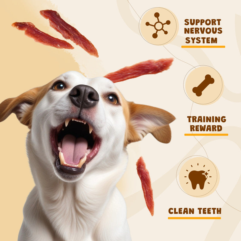 ASMPET Duck Jerky Dog Treat, Natural Low Fat Snacks for Small Medium Large Dogs, 10.6oz