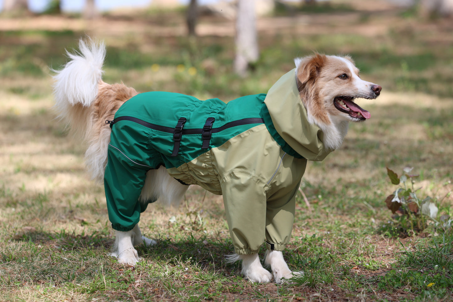 Outdoor waterproof with healed tape full coverage dog jacket with hoodie and 4 legs