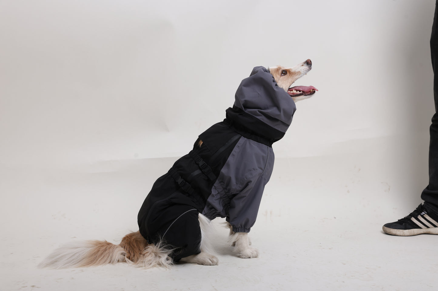 Outdoor waterproof with healed tape full coverage dog jacket with hoodie and 4 legs