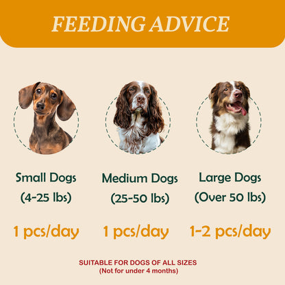 Pawmate Rawhide-Free Dog Treats, Beef Tendon Dog Chews for Small Medium Large Dogs, 11 oz