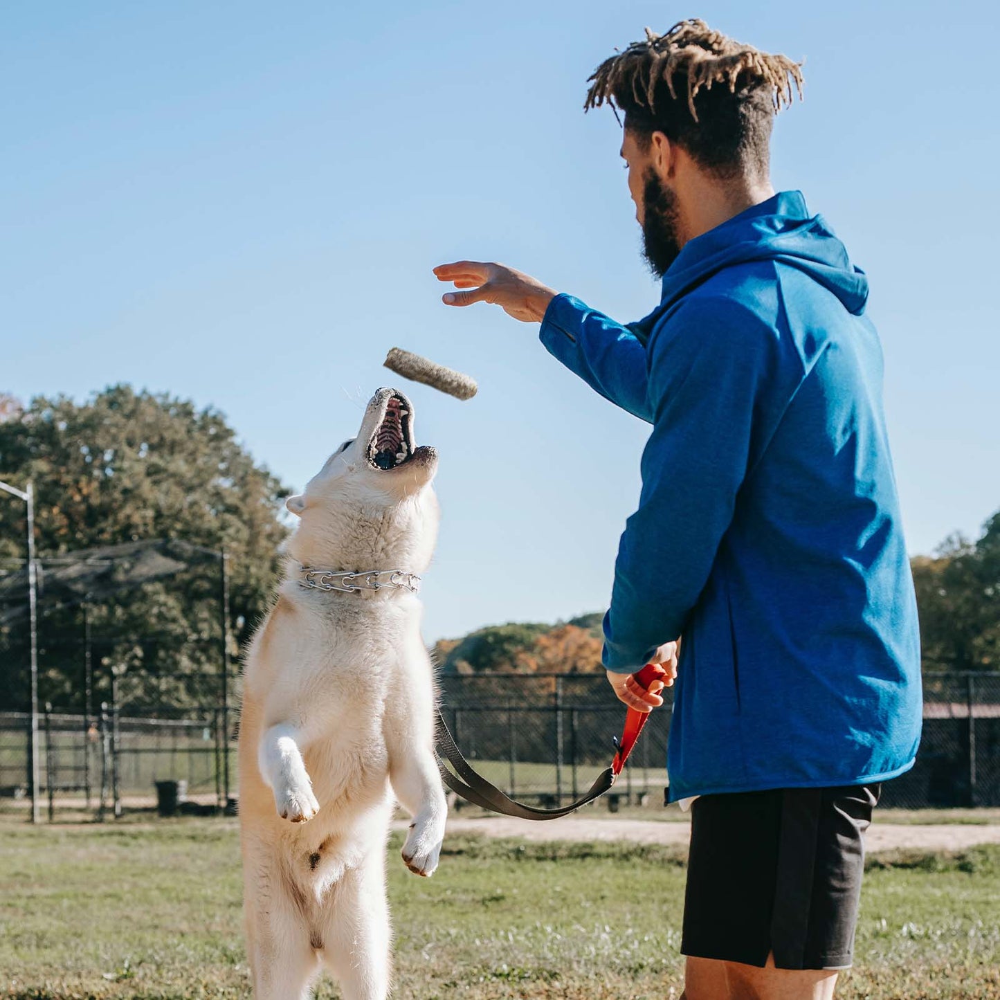 ASMPET Rawhide Free Dog Treats, Natural Teeth Cleaning Cod Skin Dog Chew for All Size, 6pcs, 10.6oz