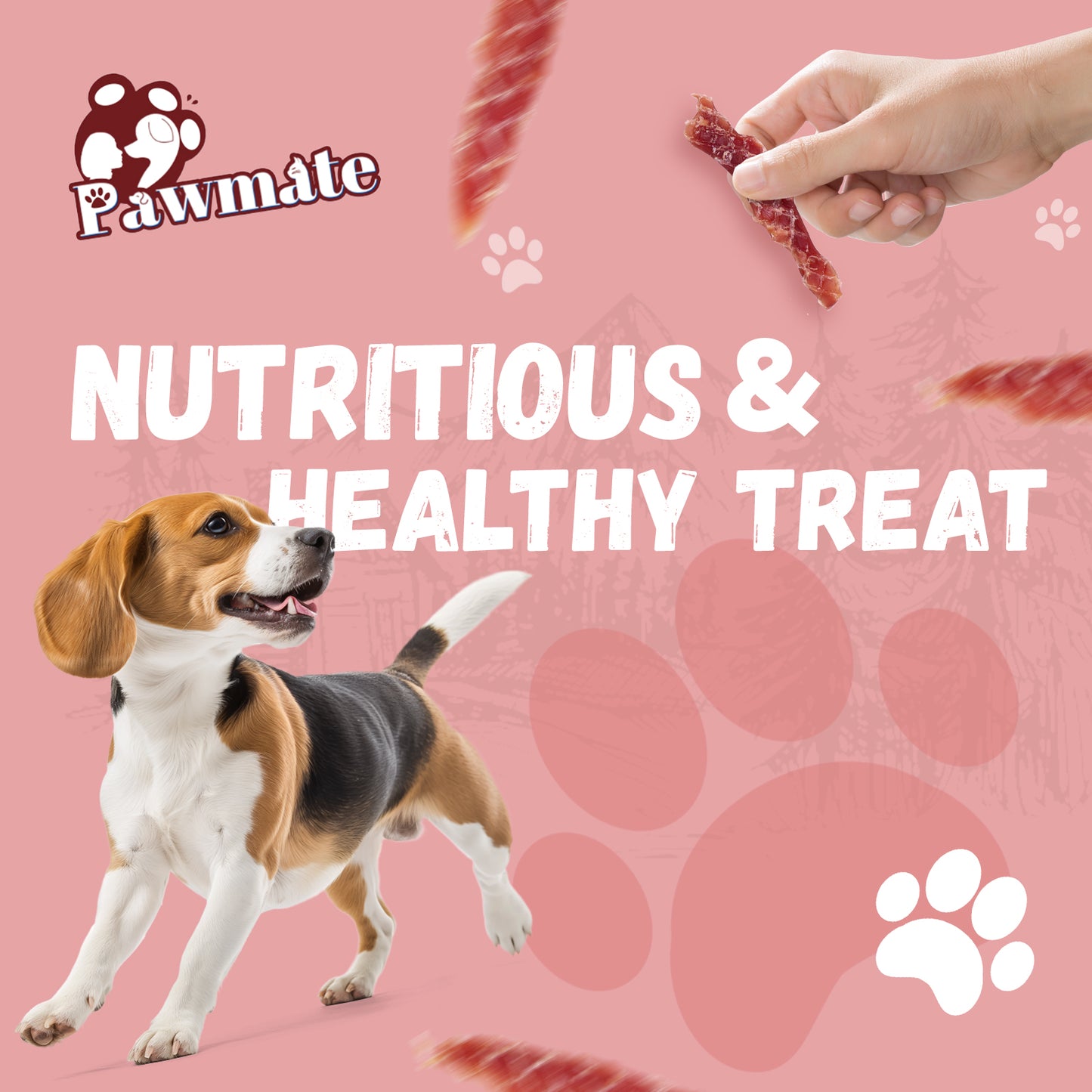 Pawmate Duck Jerky Dog Treats, High Protein Pure Chicken Snacks for Small Medium Large Dog, 11 oz