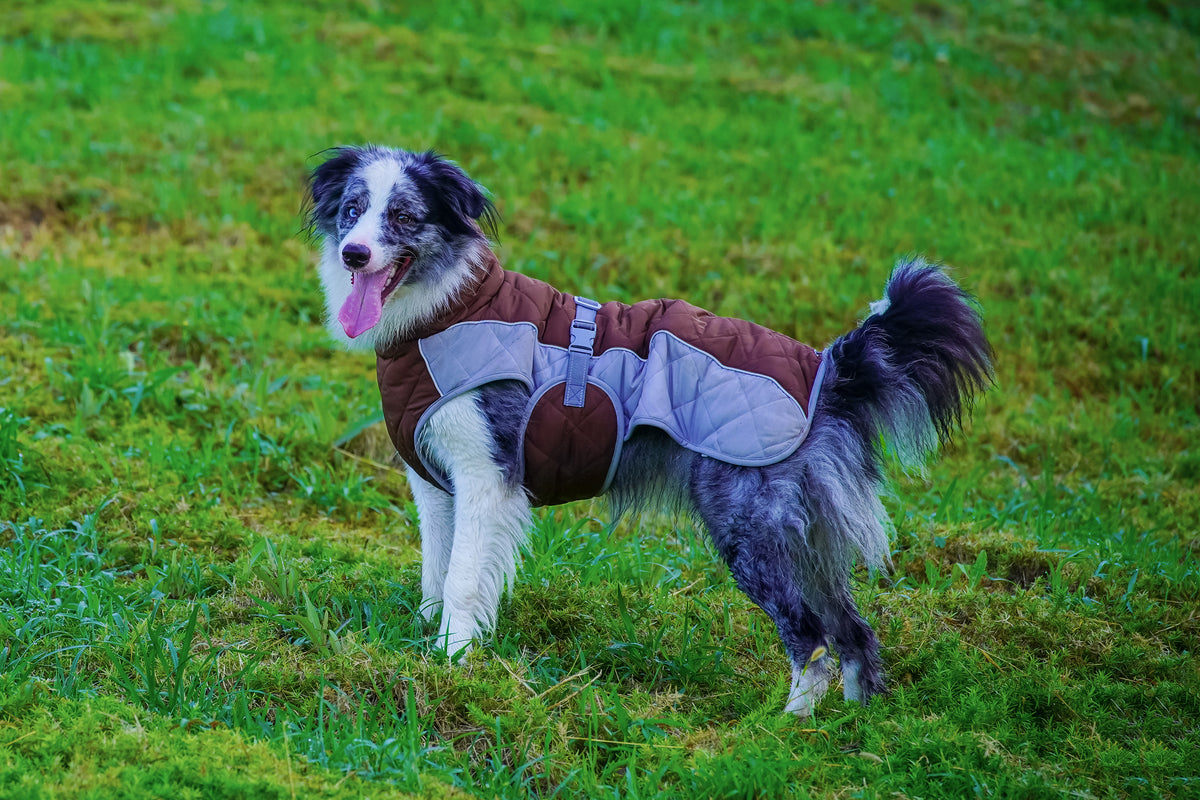 Outdoor DTM dog winer blacket warm coat for large dog
