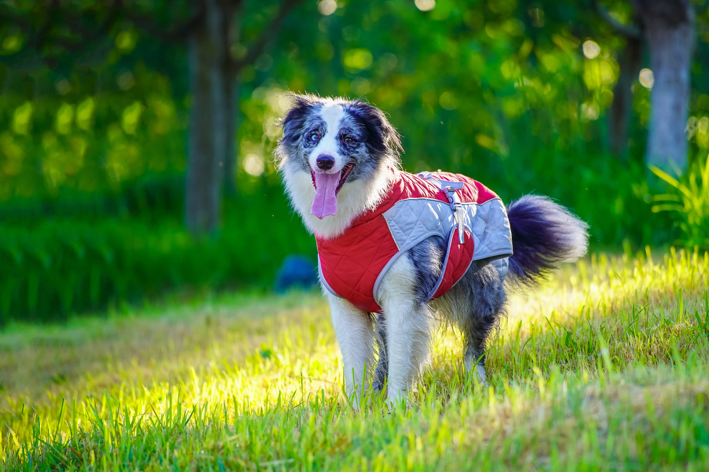 Outdoor DTM dog winer blacket warm coat for large dog
