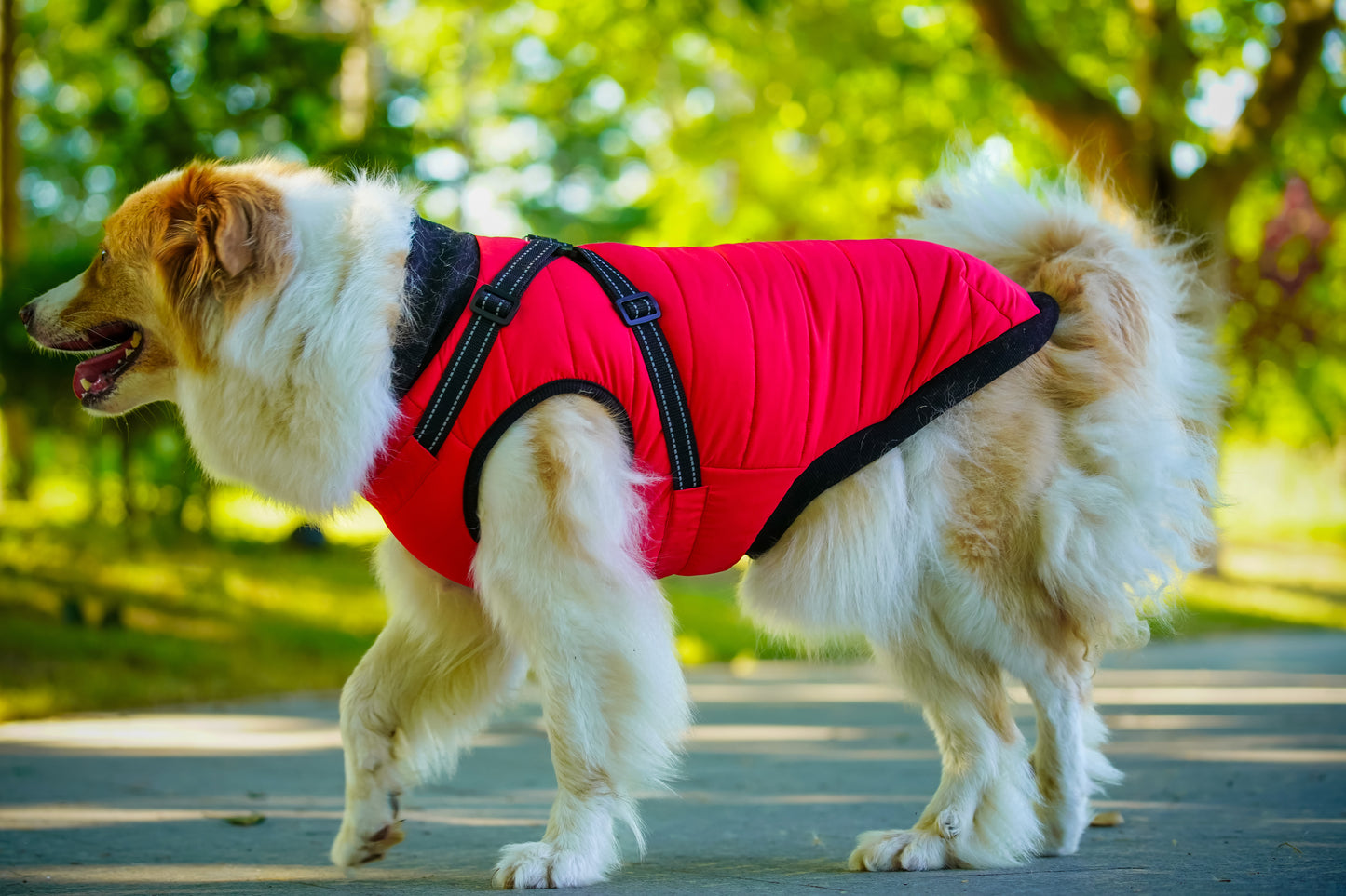 Asmpet 2-in-1 harness winter warm coart
