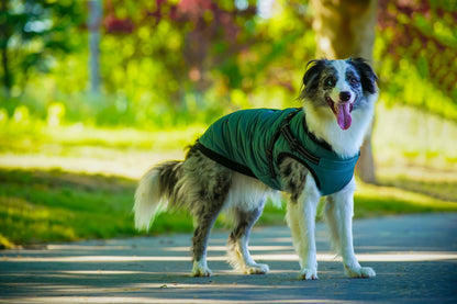 Asmpet 2-in-1 harness winter warm coart