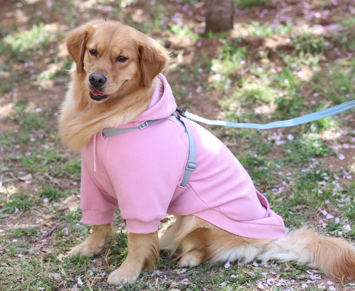 Outdoor dog functional 2-in-1 harness fleece hoodie