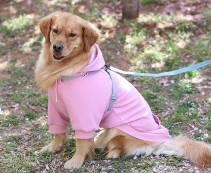 Outdoor dog functional 2-in-1 harness fleece hoodie