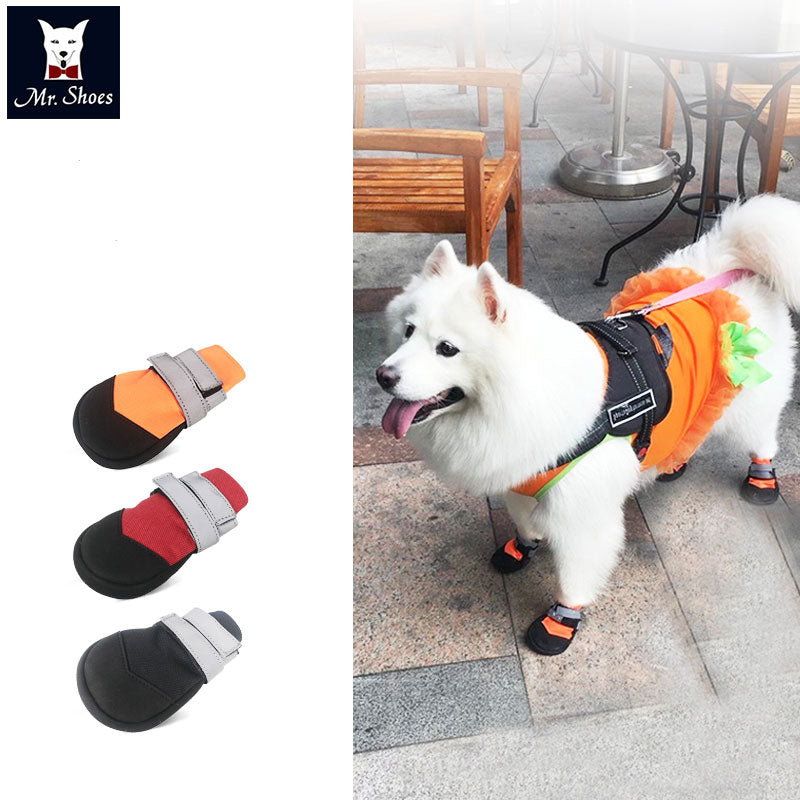 Soft Sole Paw Protectors – Non-Slip Sock Fit for Daily Wear