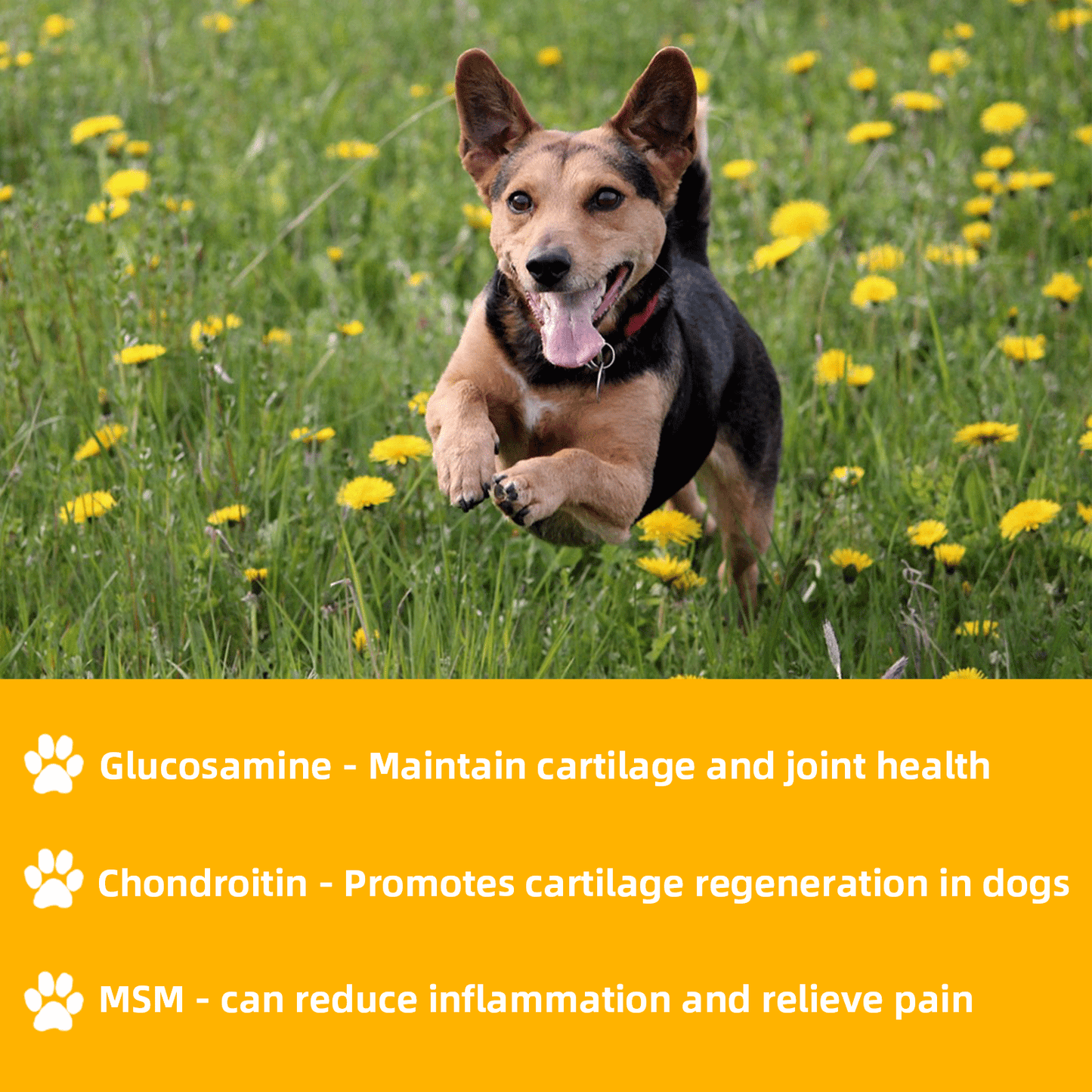 ASMPET Chicken Sausage Dog Treats, Natural Chicken Jerky Training Treats for Dogs with Taurine, Low Fat Soft Chewy Snacks, 11oz