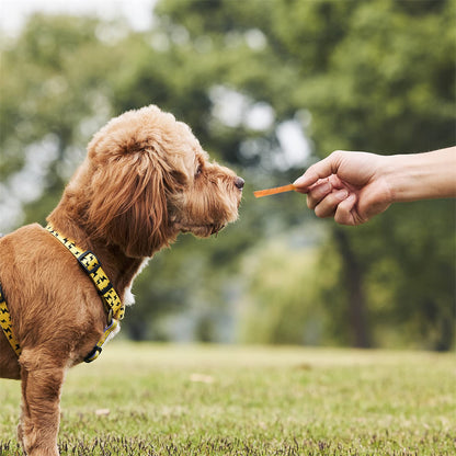 ASMPET Chicken Jerky Dog Treats, Mini Chicken Strips, Rawhide Free Training Treats for Cats and Small Dogs,11oz